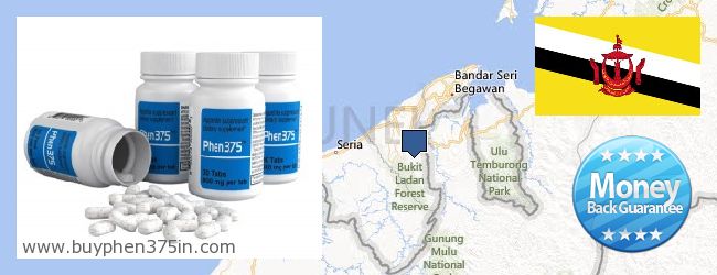 Où Acheter Phen375 en ligne Brunei